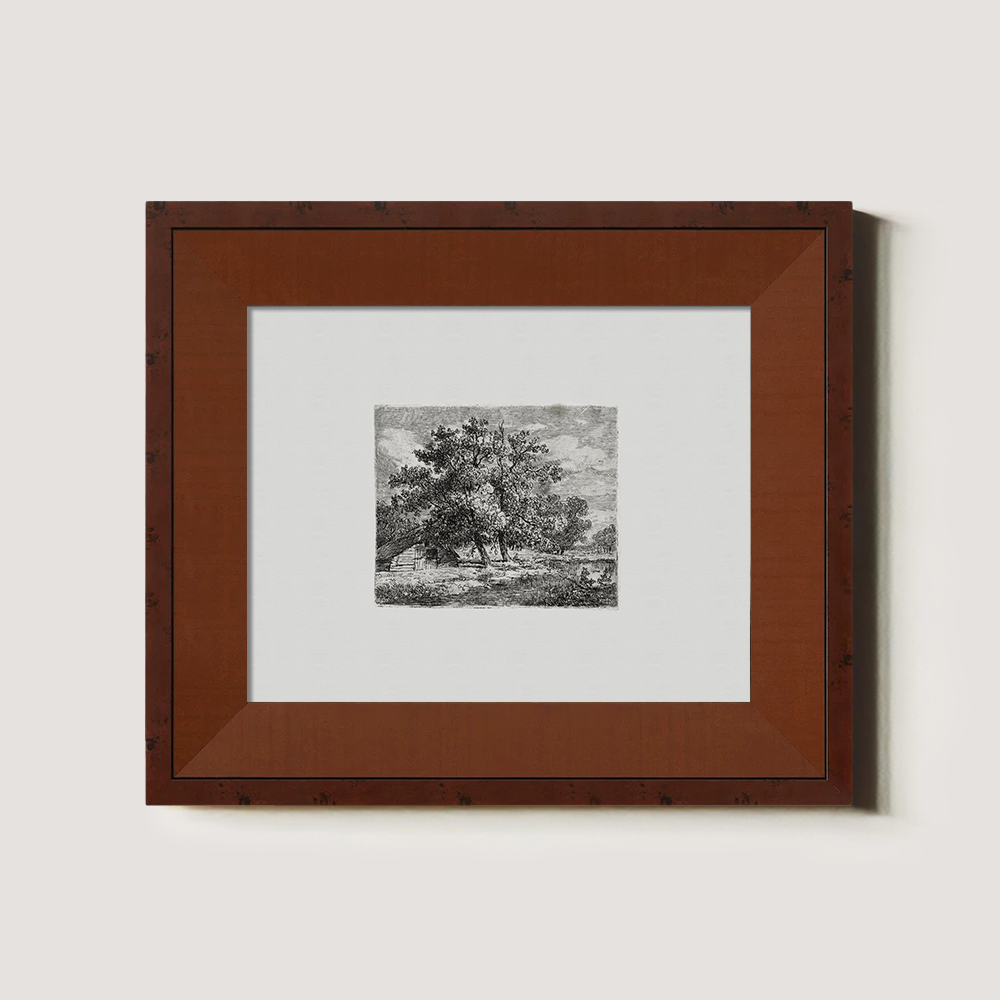 Majestic Canopy Over Cottage Etching Reverie