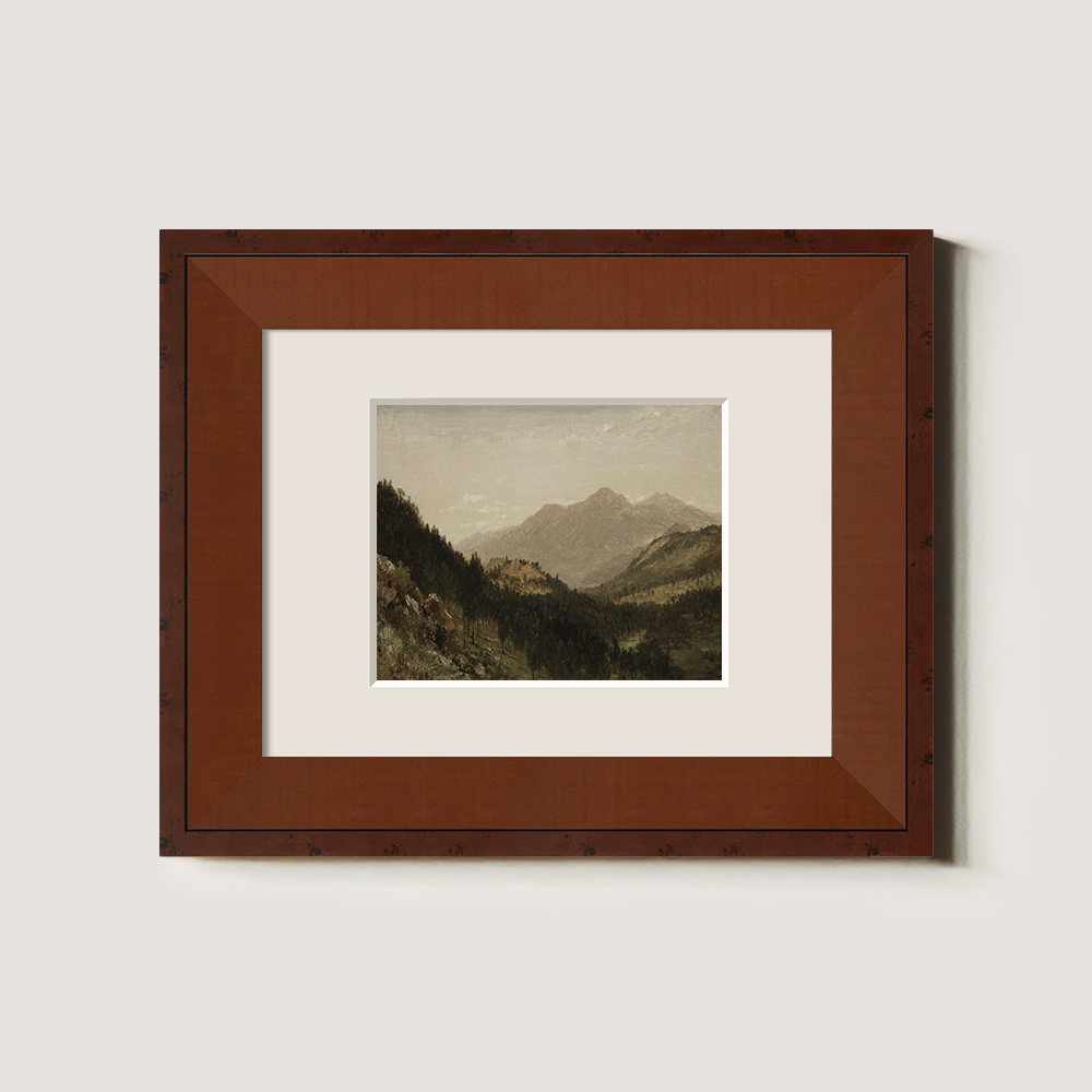 Misty Alpine Valley with Towering Peaks and Dense Firs