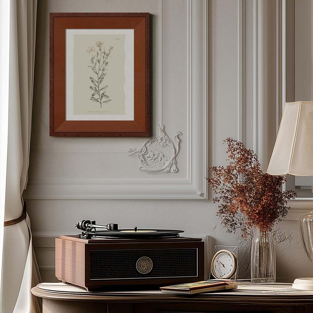 Vintage Epilobium Montanum Botanical Etching