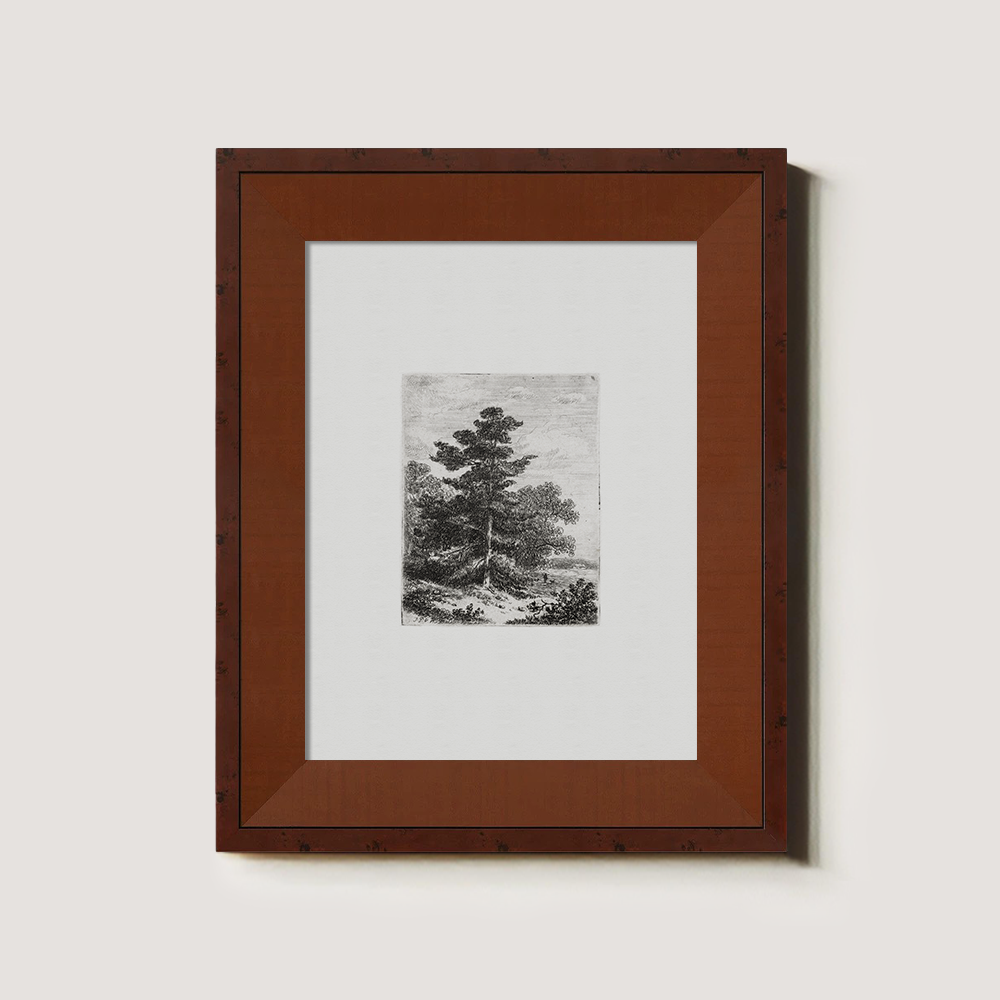 Solitary Pine Sentinel Etching Reverie