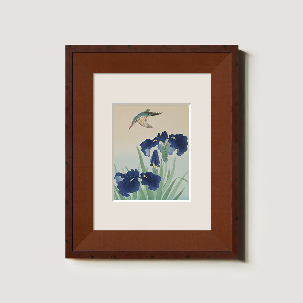 Hummingbird & Iris Bloom - Kacho-ga Study