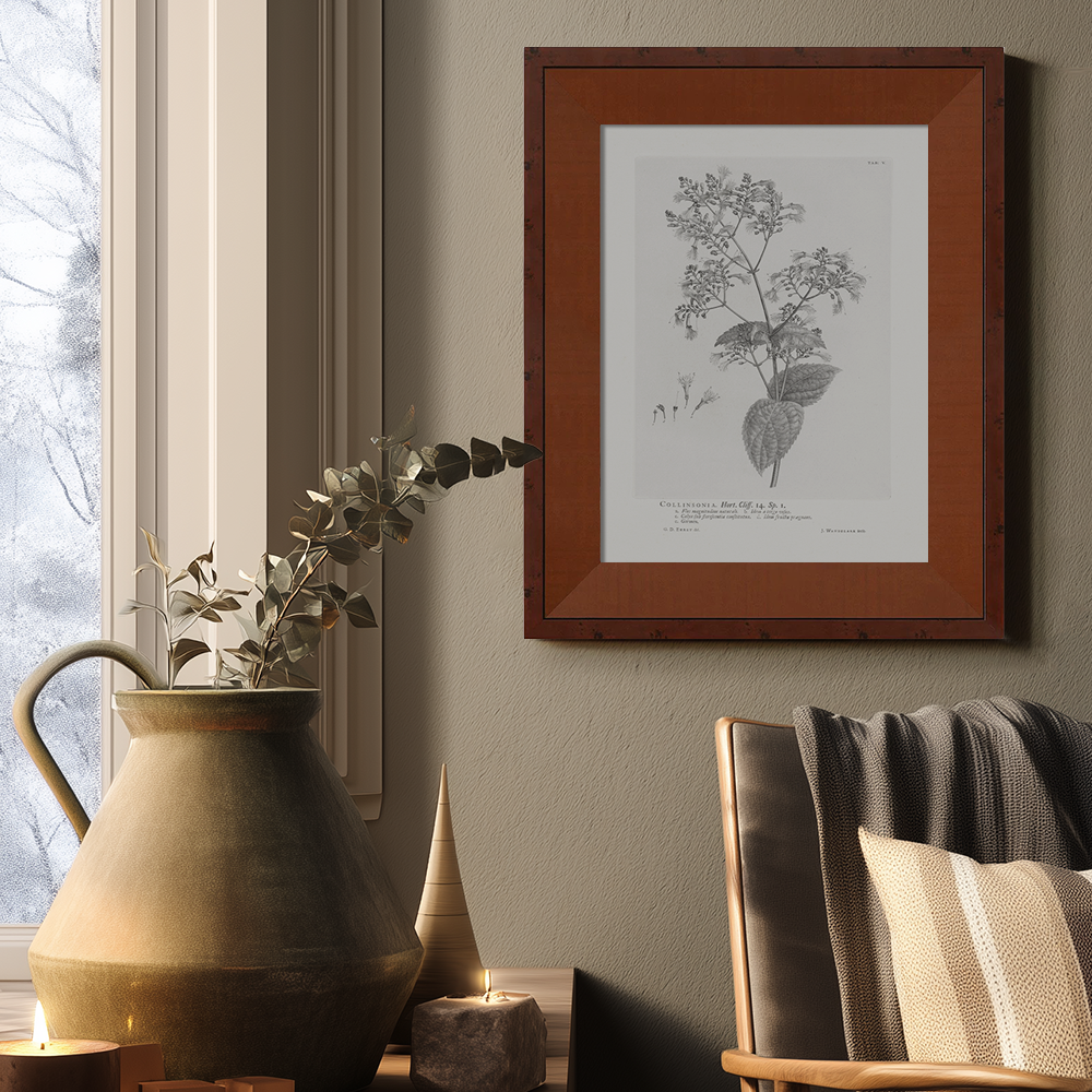 Vintage Collinnia Hart Botanical Etching