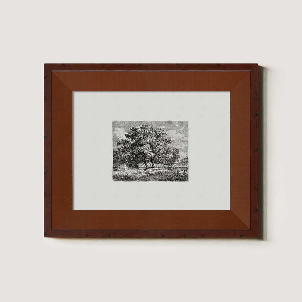 Majestic Canopy Over Cottage Etching Reverie