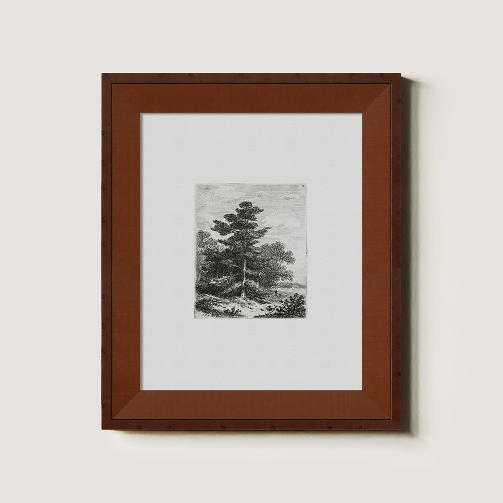 Solitary Pine Sentinel Etching Reverie