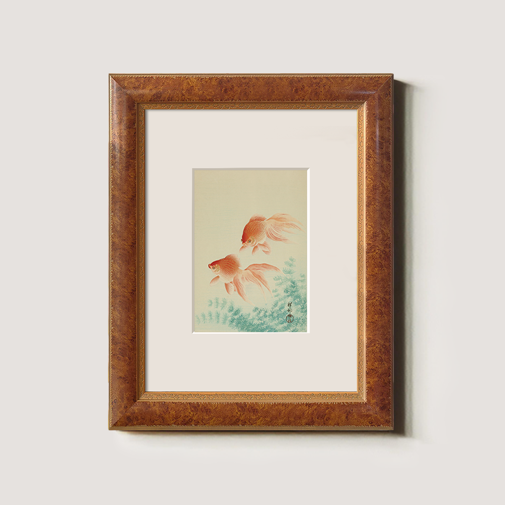 Two Red Goldfish in Seaweed