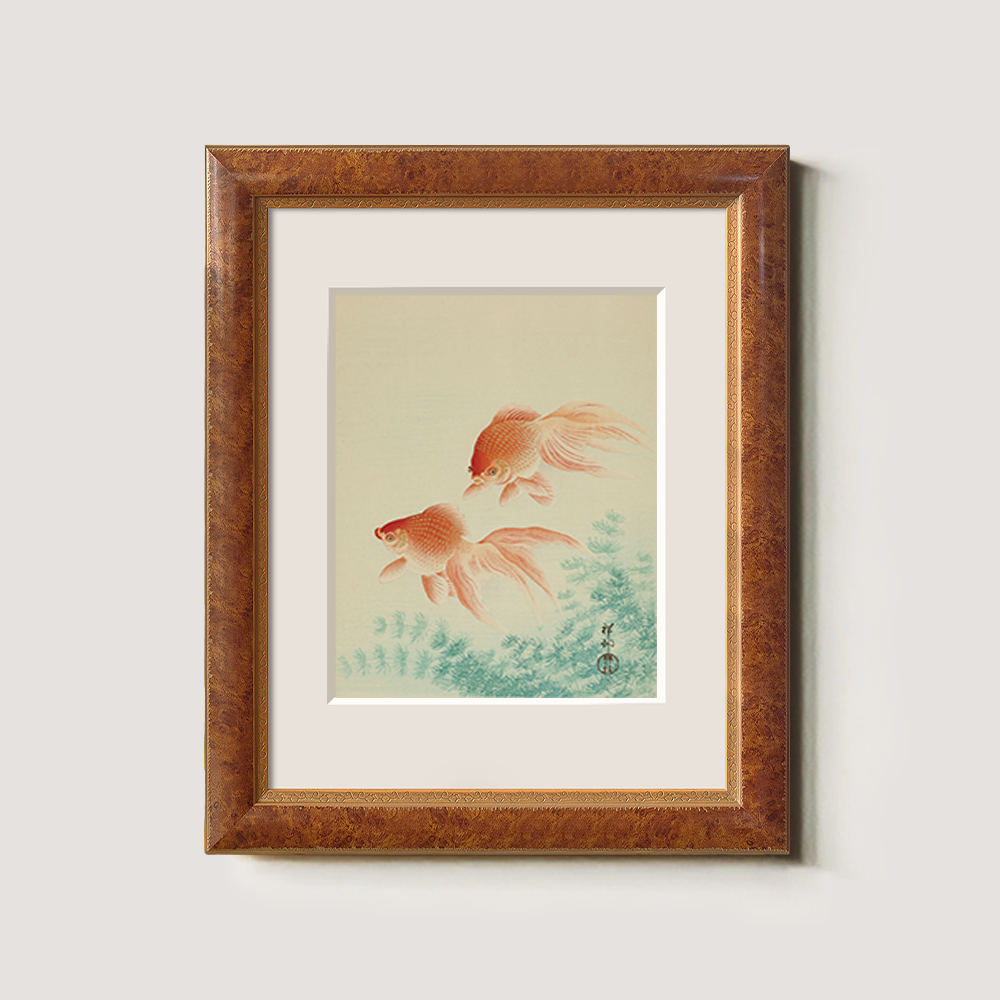 Two Red Goldfish in Seaweed