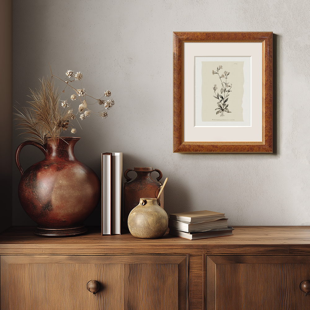 Vintage Arabis Alpina Botanical Etching