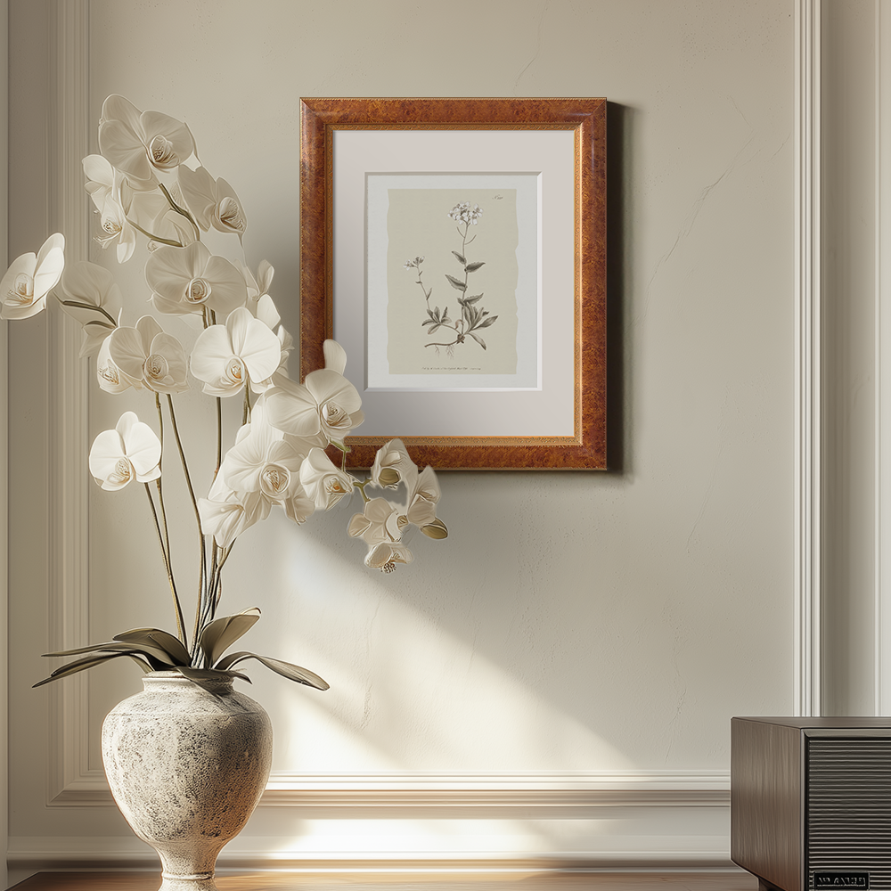 Vintage Cardamine Hirsuta Botanical Etching