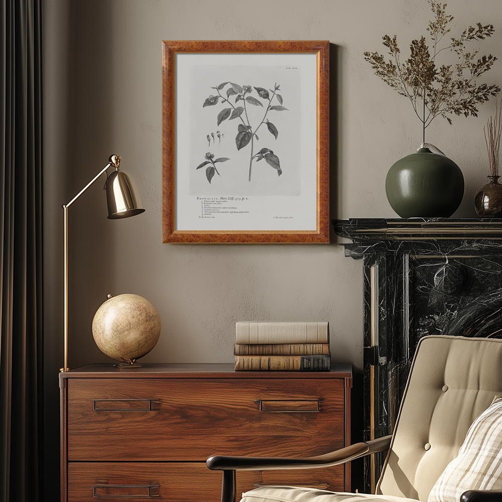 Vintage Browallia Hert Botanical Etching