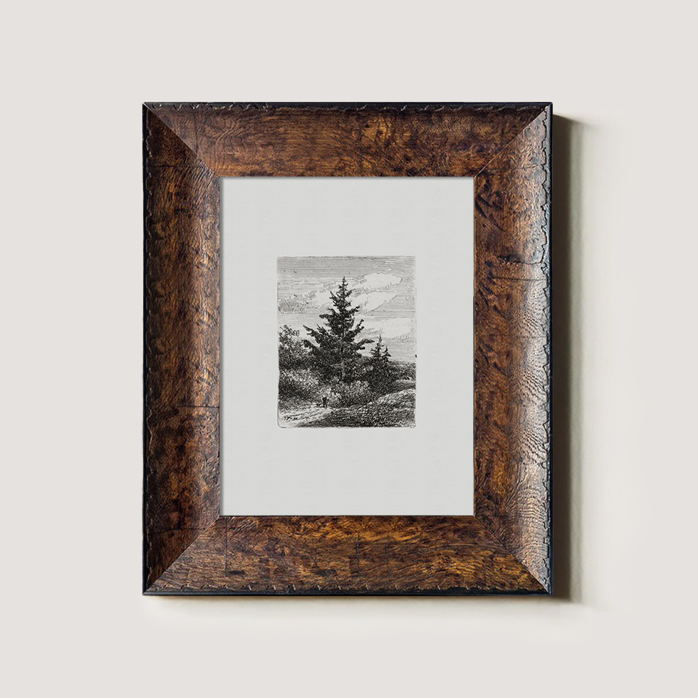 Evergreen Pine Slopes Etching Reverie