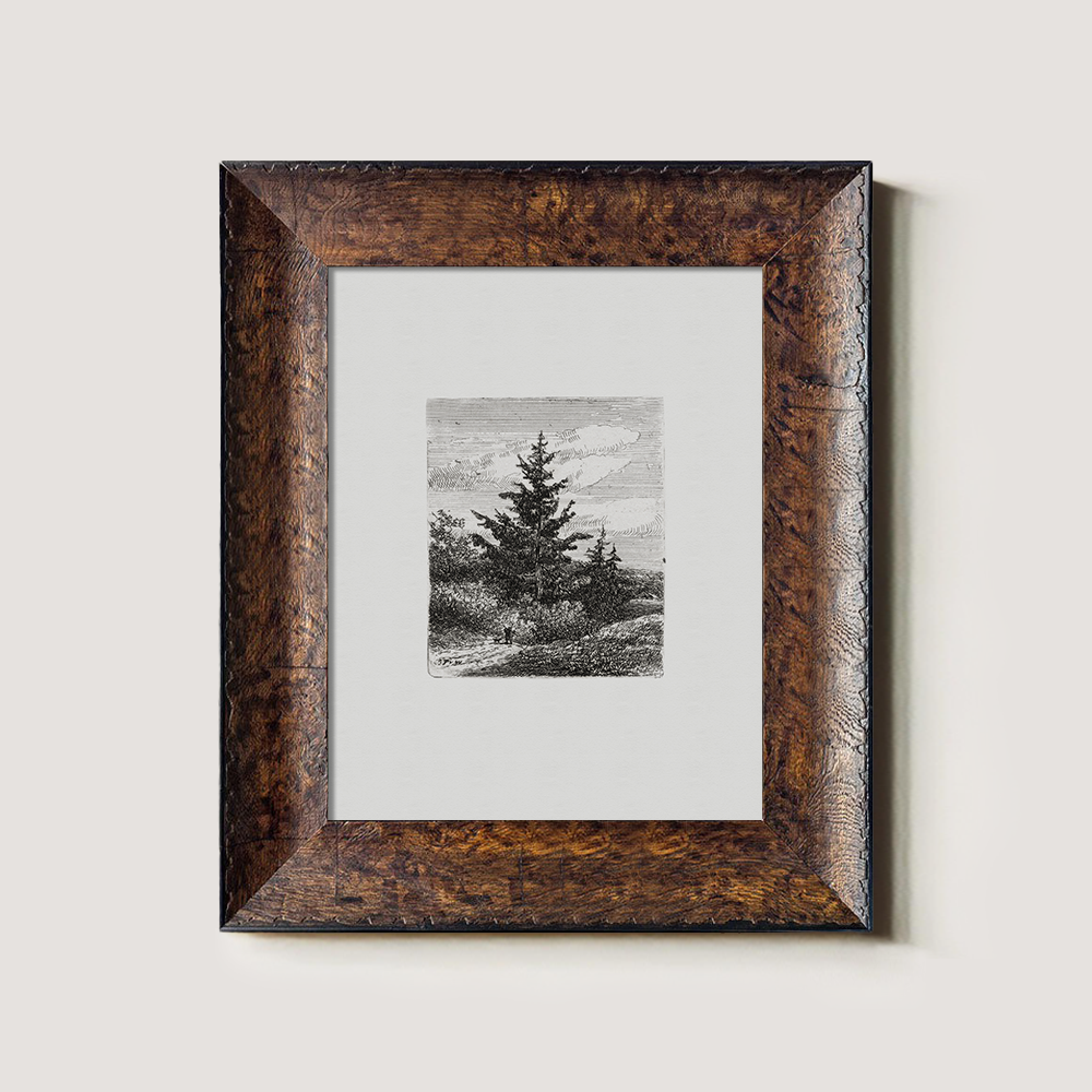 Evergreen Pine Slopes Etching Reverie