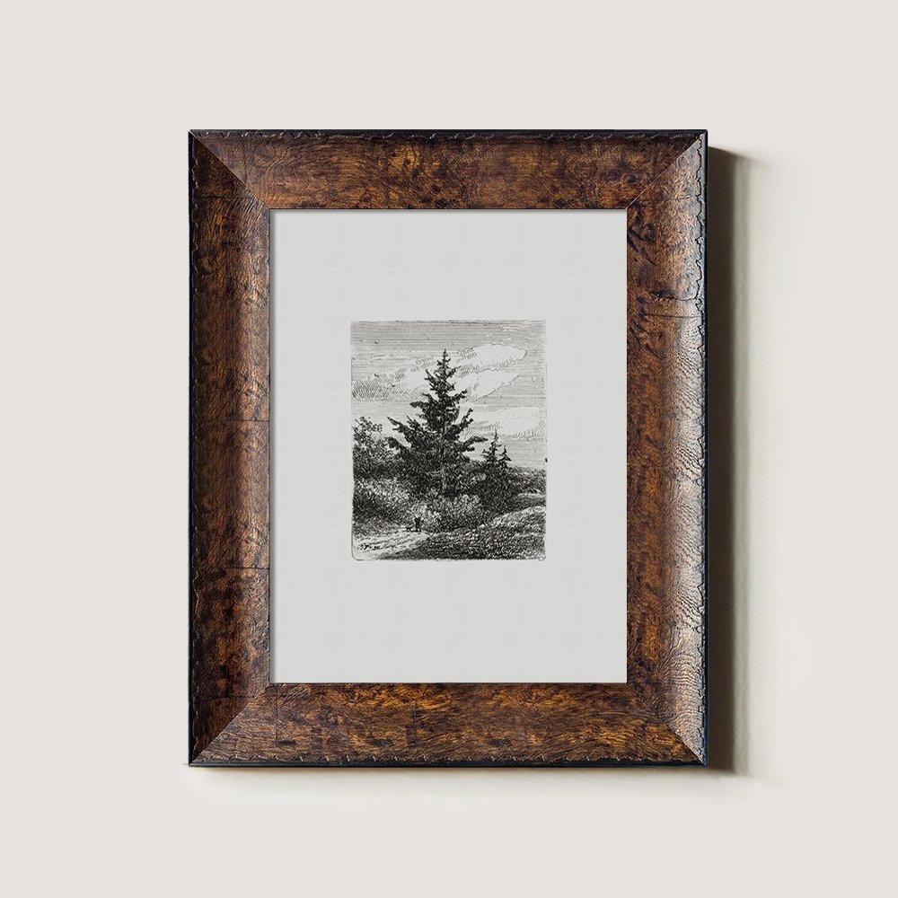 Evergreen Pine Slopes Etching Reverie