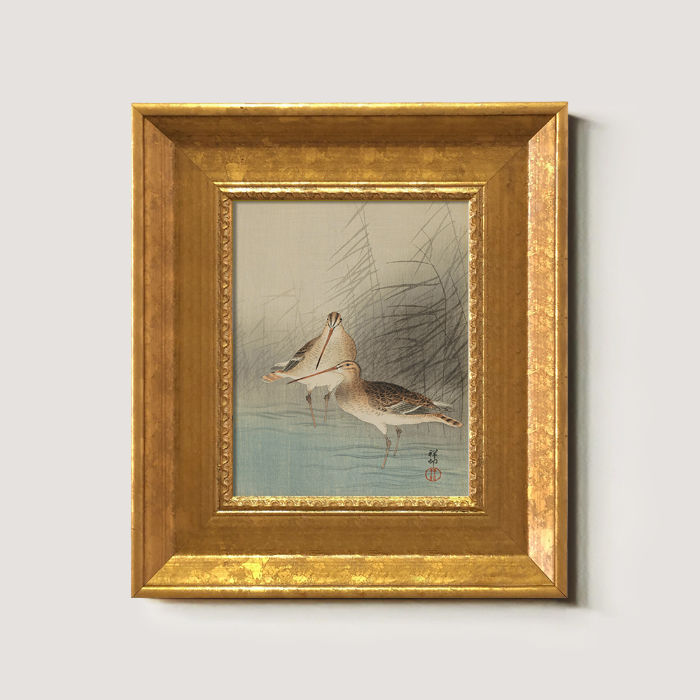 Sandpipers in the Reeds - Avian Kacho-ga Study