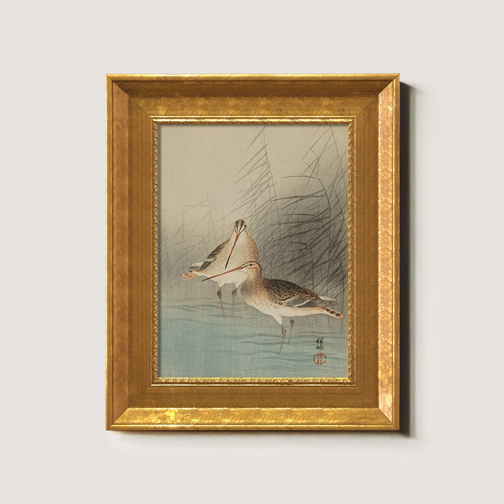 Sandpipers in the Reeds - Avian Kacho-ga Study