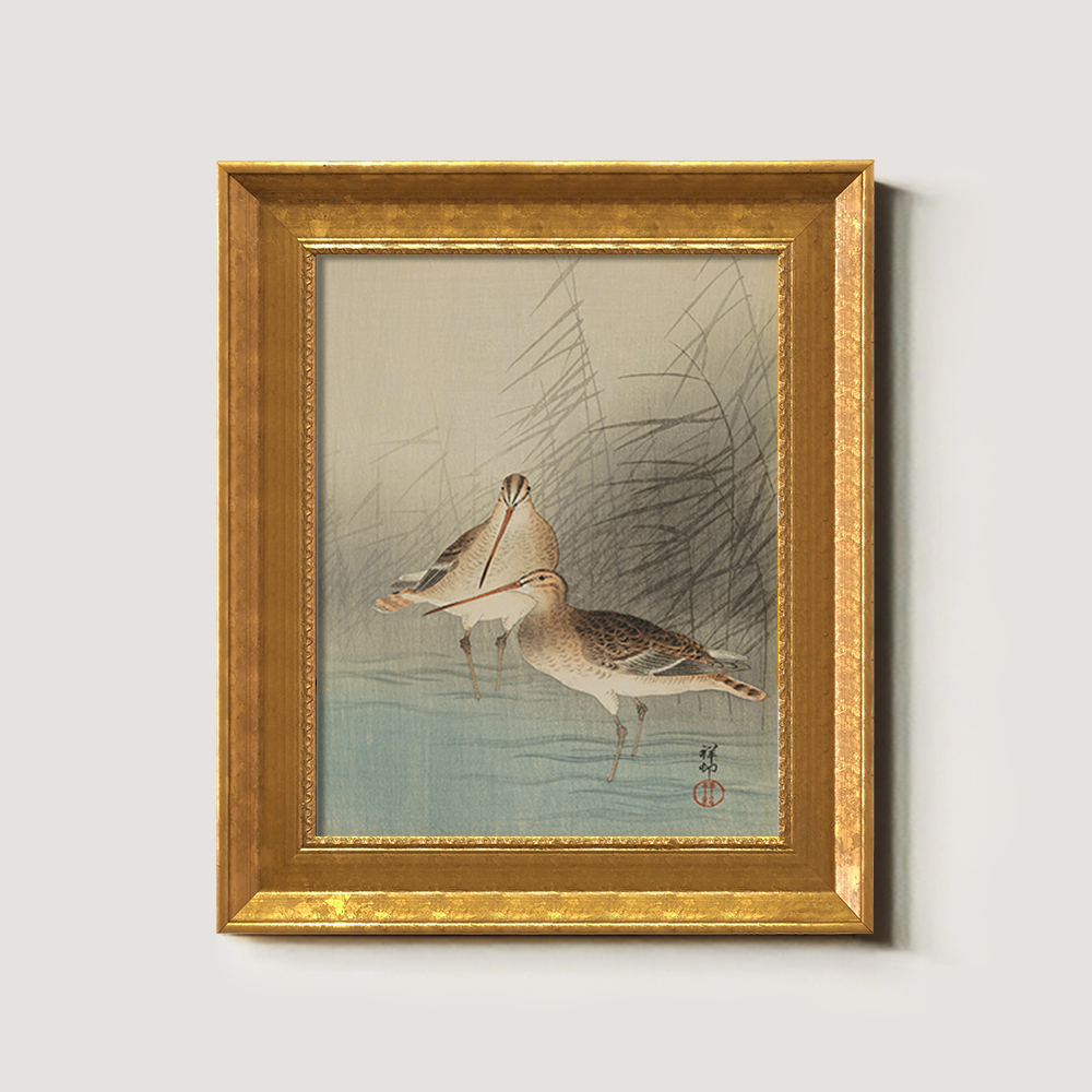 Sandpipers in the Reeds - Avian Kacho-ga Study