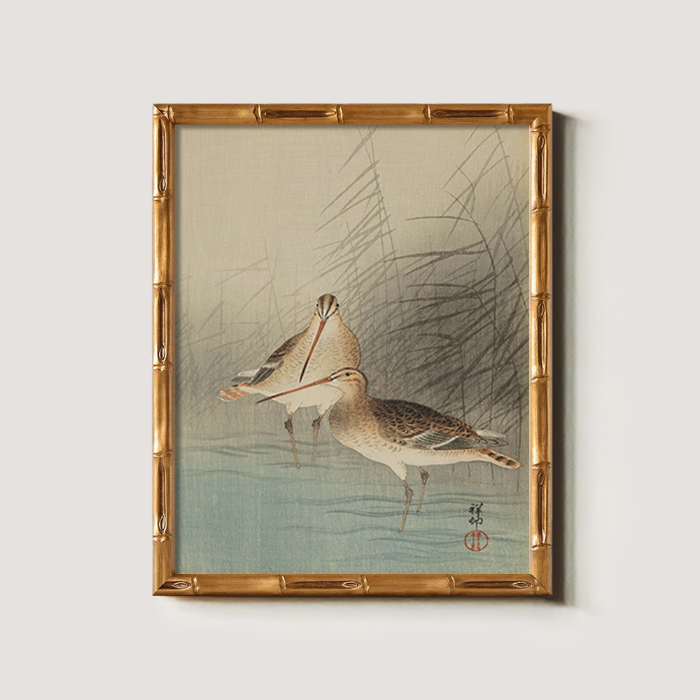 Sandpipers in the Reeds - Avian Kacho-ga Study