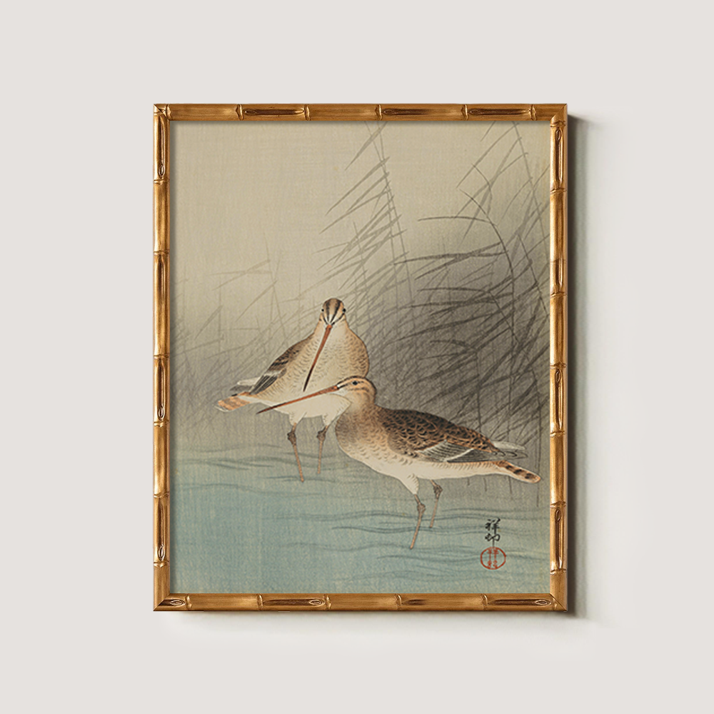 Sandpipers in the Reeds - Avian Kacho-ga Study