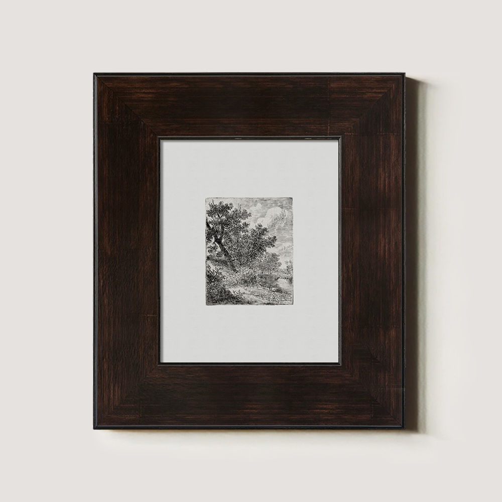 Shaded Arboreal Hollow Etching Reverie