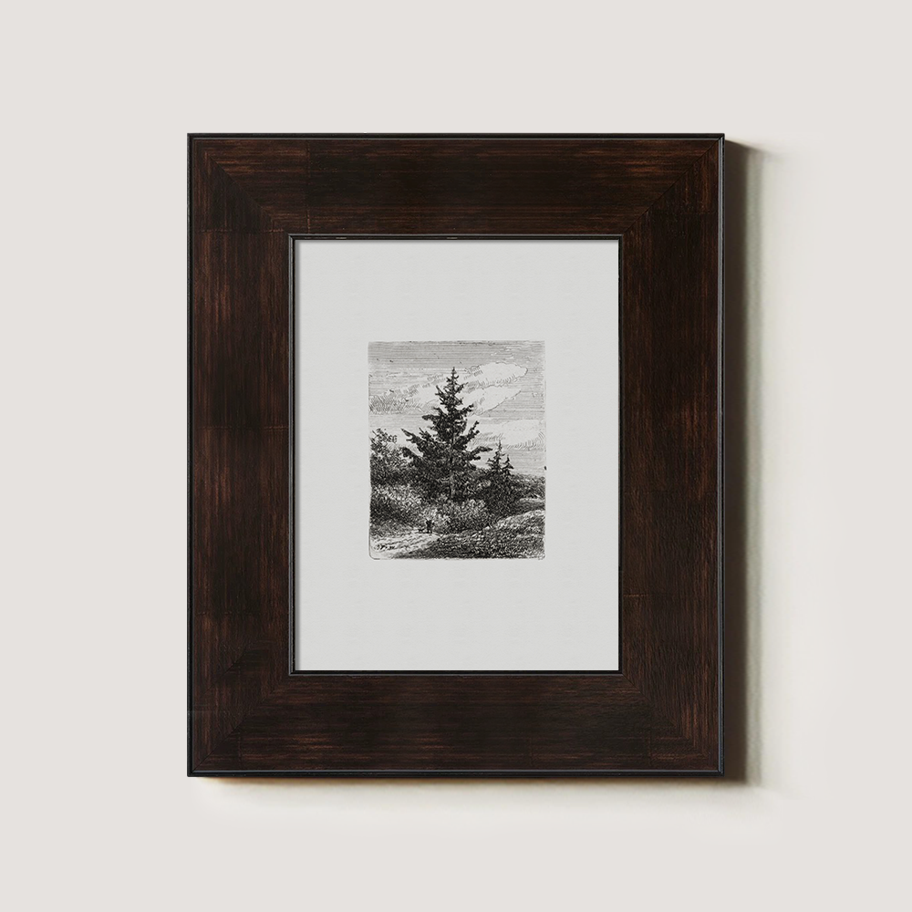 Evergreen Pine Slopes Etching Reverie