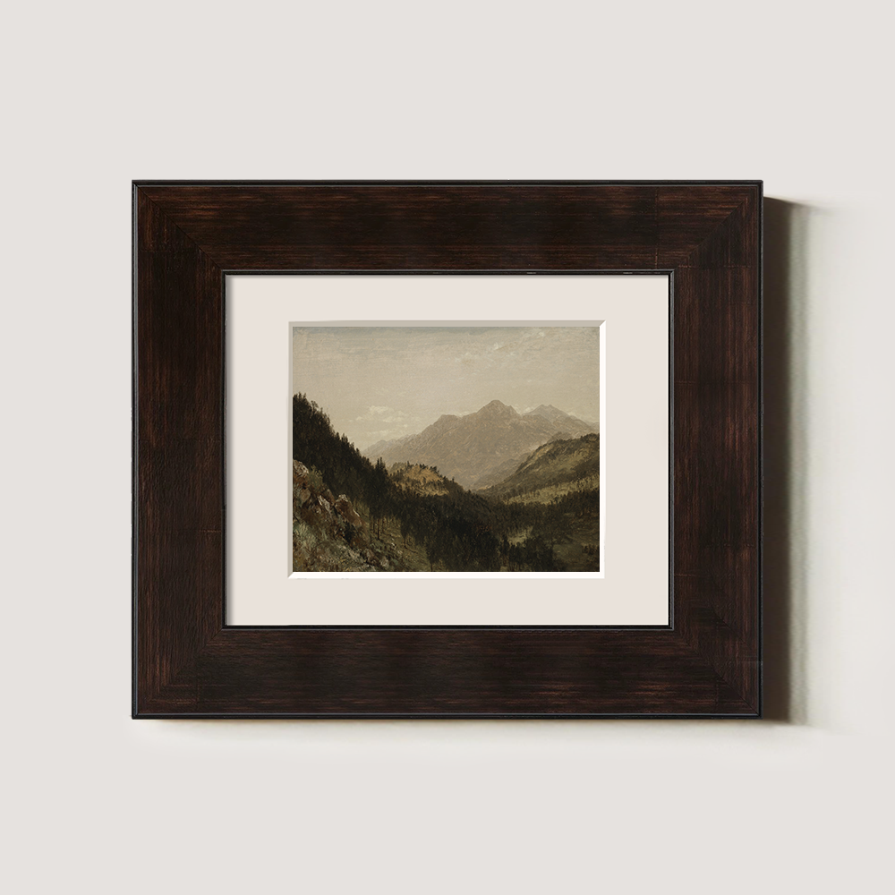 Misty Alpine Valley with Towering Peaks and Dense Firs
