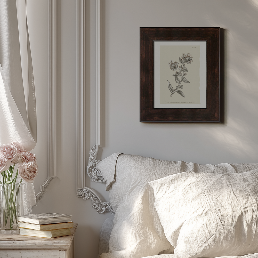 Vintage Bupleurum Botanical Etching