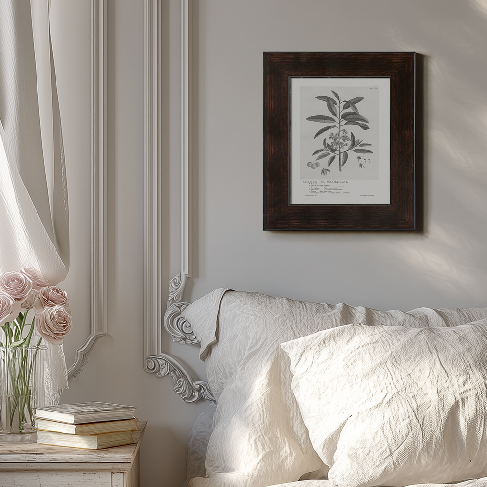 Vintage Kigelia Africana Botanical Etching