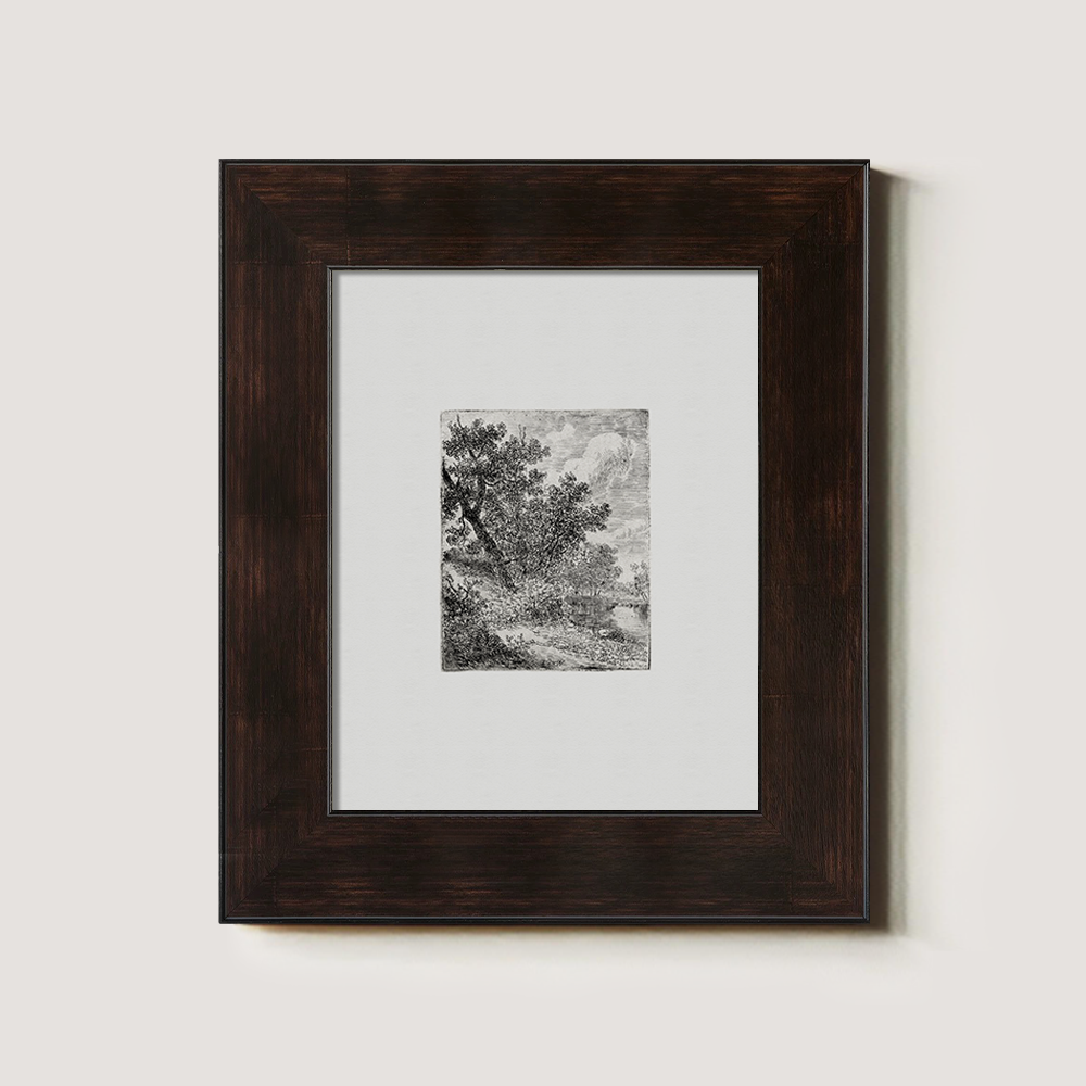 Shaded Arboreal Hollow Etching Reverie