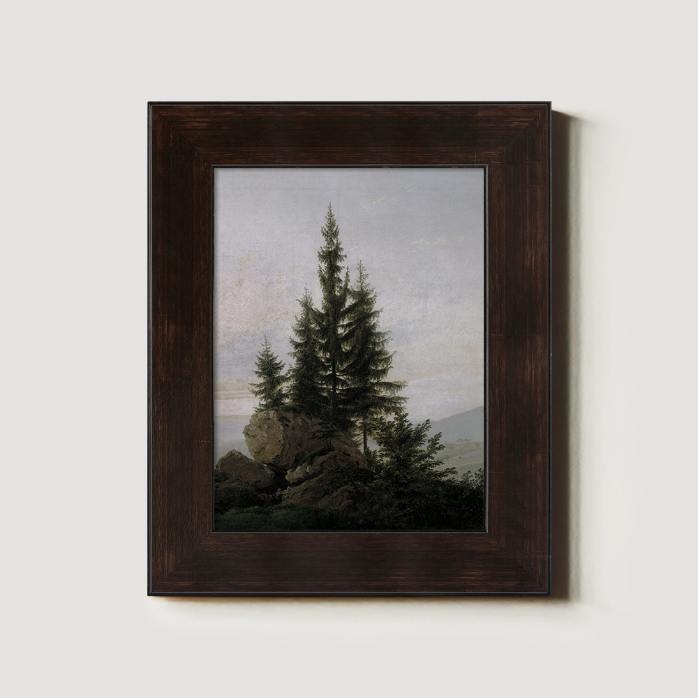 Evergreen Tree On A Rocky Shore 1216-1620-1824