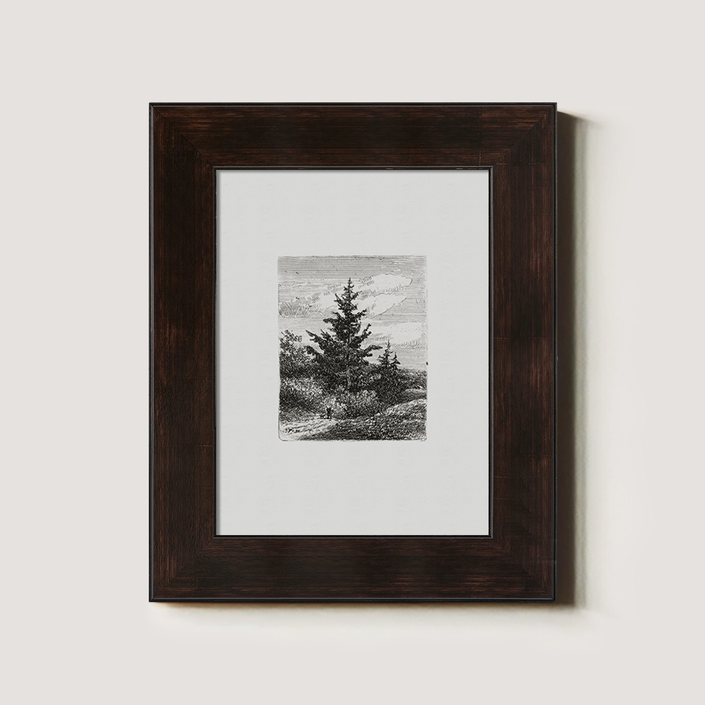 Evergreen Pine Slopes Etching Reverie