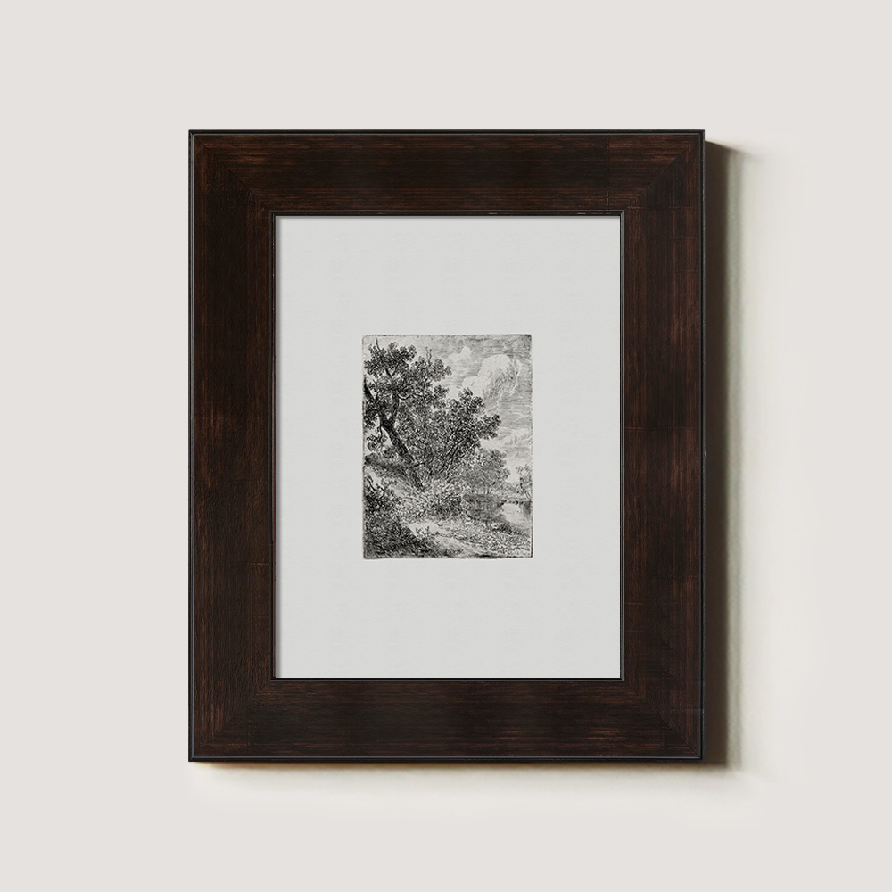 Shaded Arboreal Hollow Etching Reverie