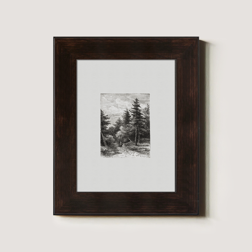 Enshrouded Pine Thicket Etching Reverie 1216-1620-1824