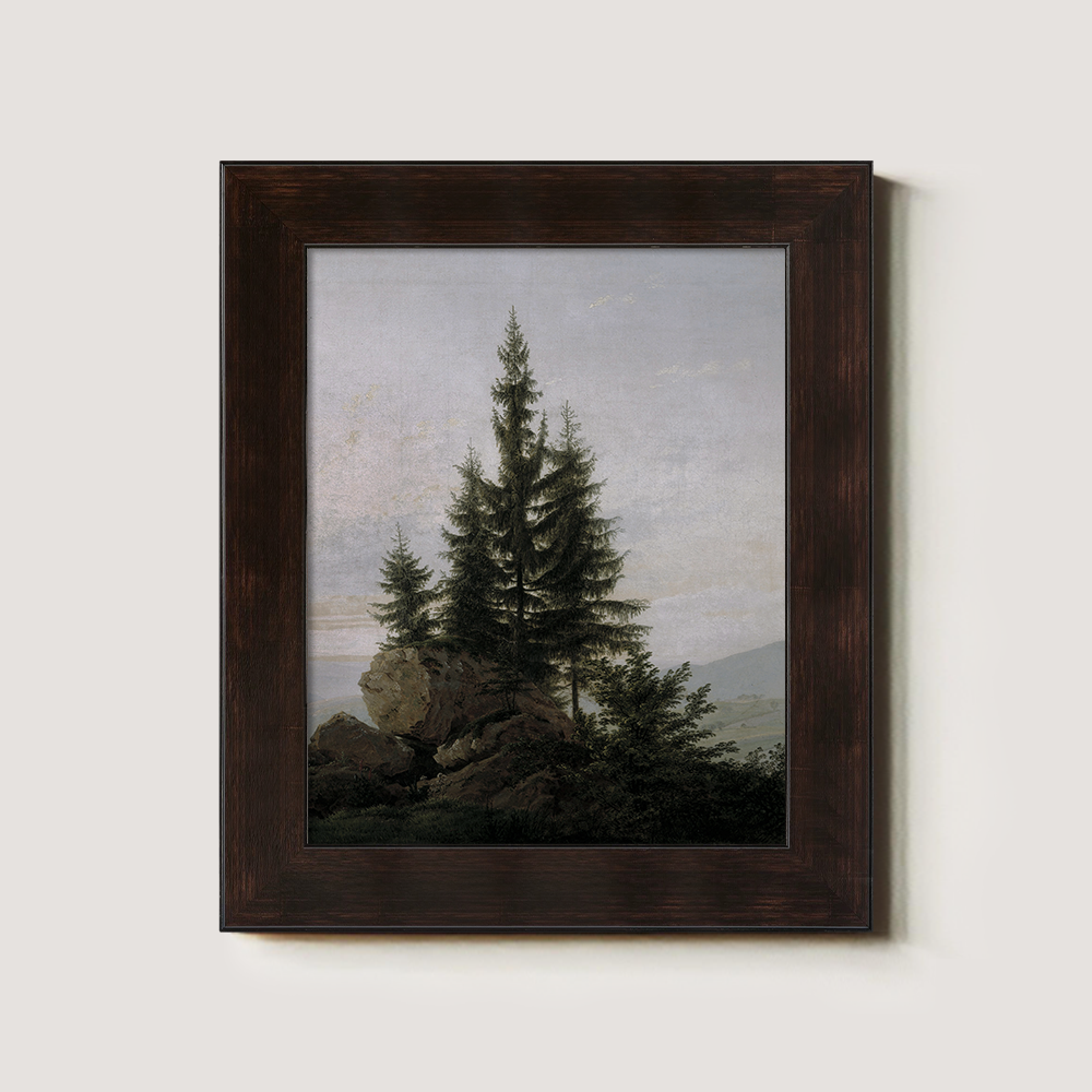 Evergreen Tree On A Rocky Shore 1216-1620-1824