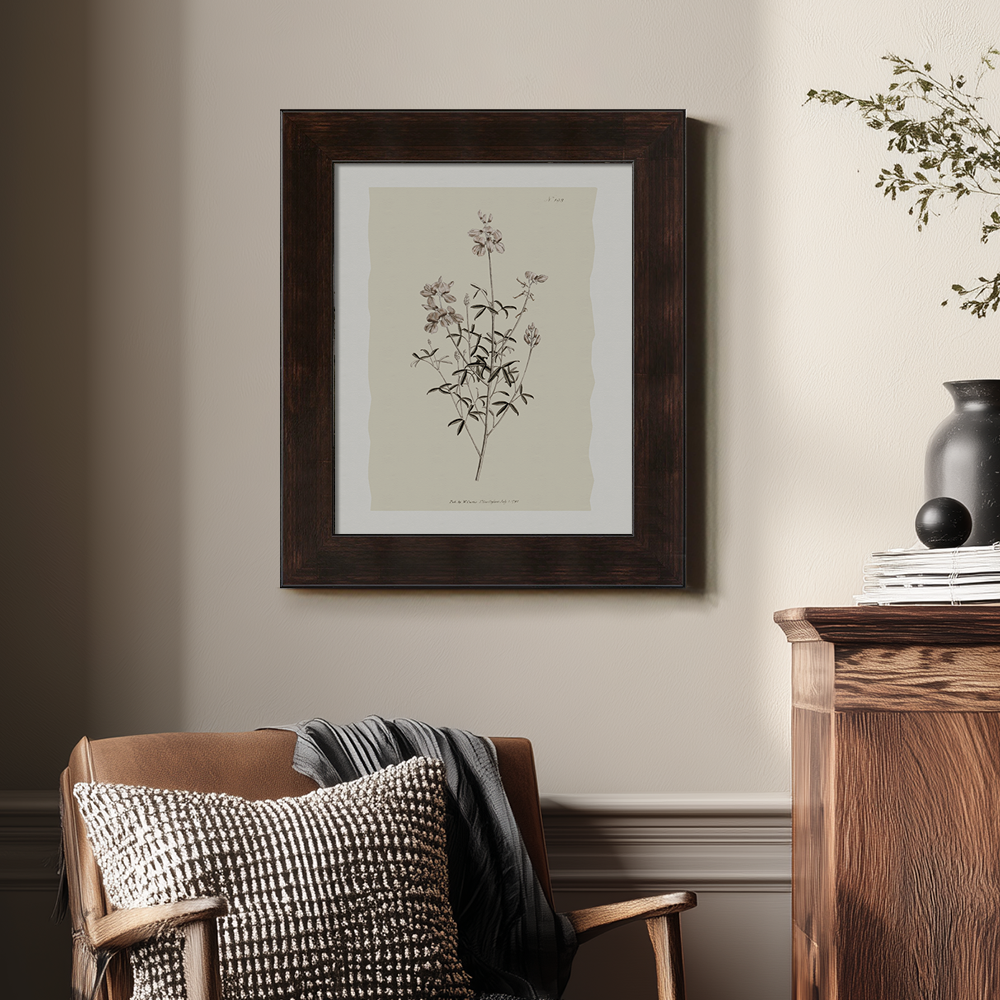 Vintage Lotus Corniculatus Botanical Etching