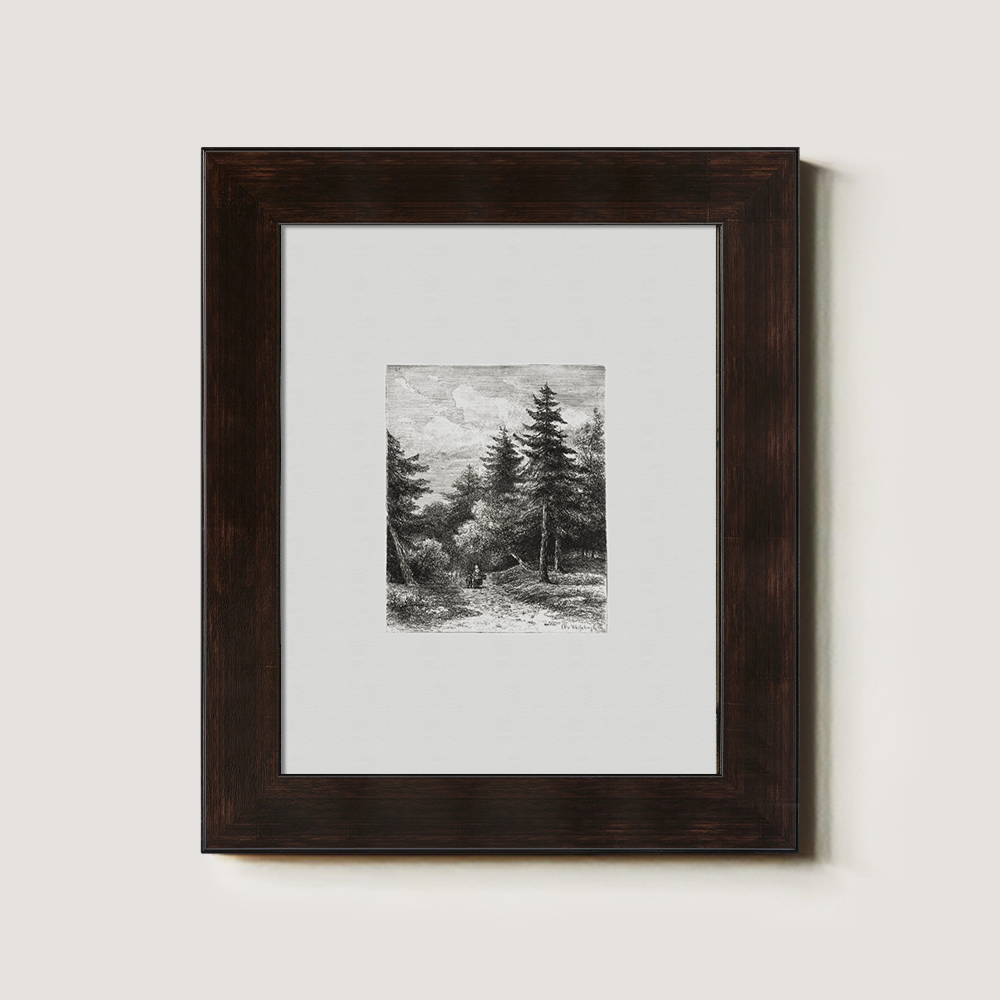 Enshrouded Pine Thicket Etching Reverie 1216-1620-1824