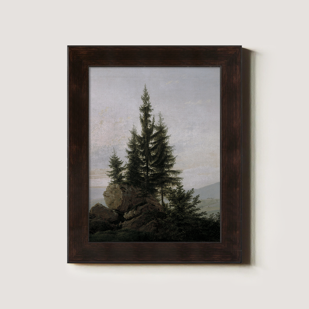 Evergreen Tree On A Rocky Shore 1216-1620-1824