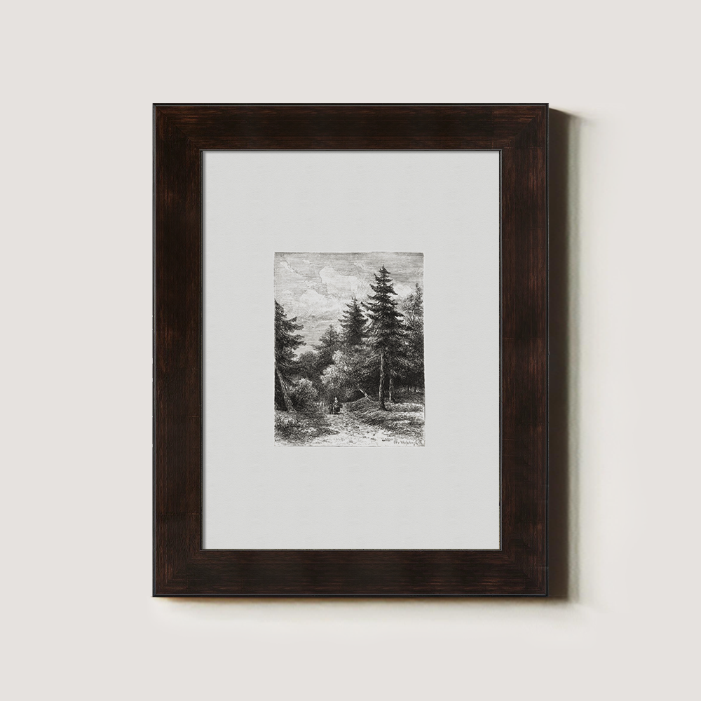 Enshrouded Pine Thicket Etching Reverie 1216-1620-1824