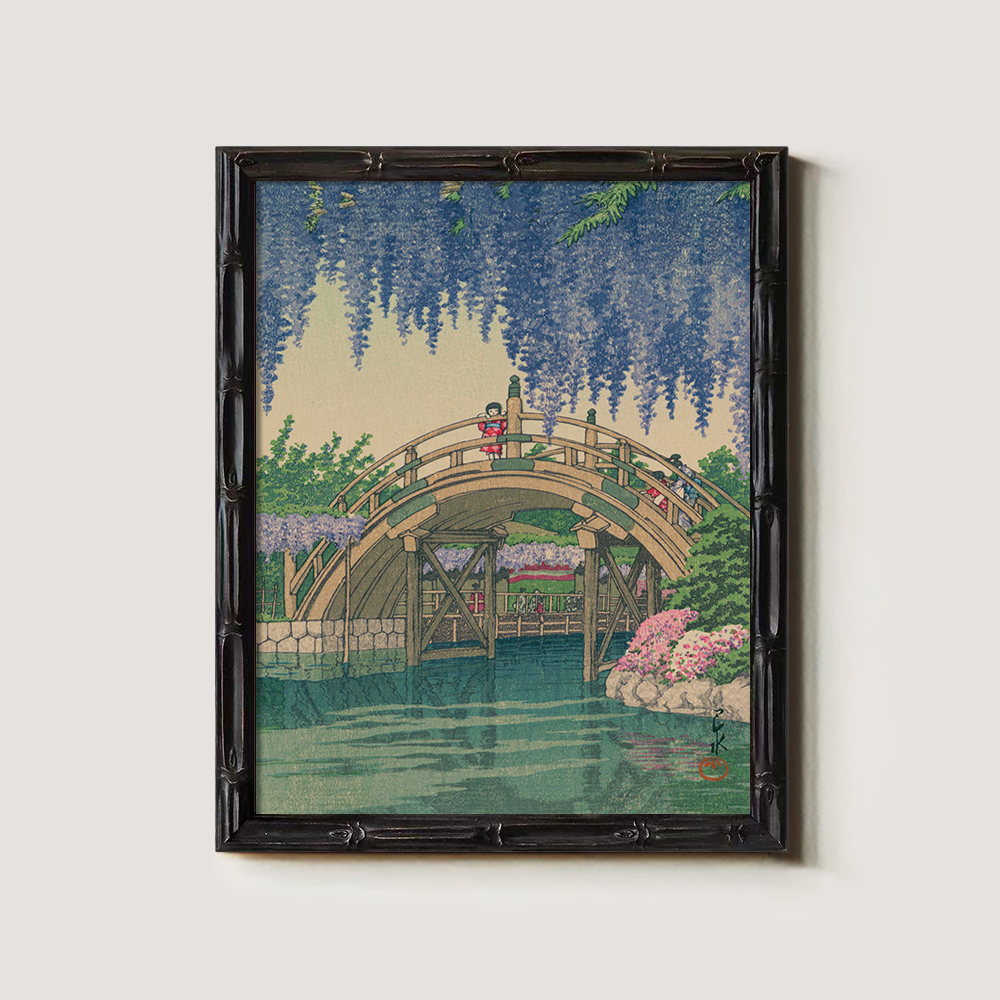 Wisteria Blossoms over Curved Drum Bridge