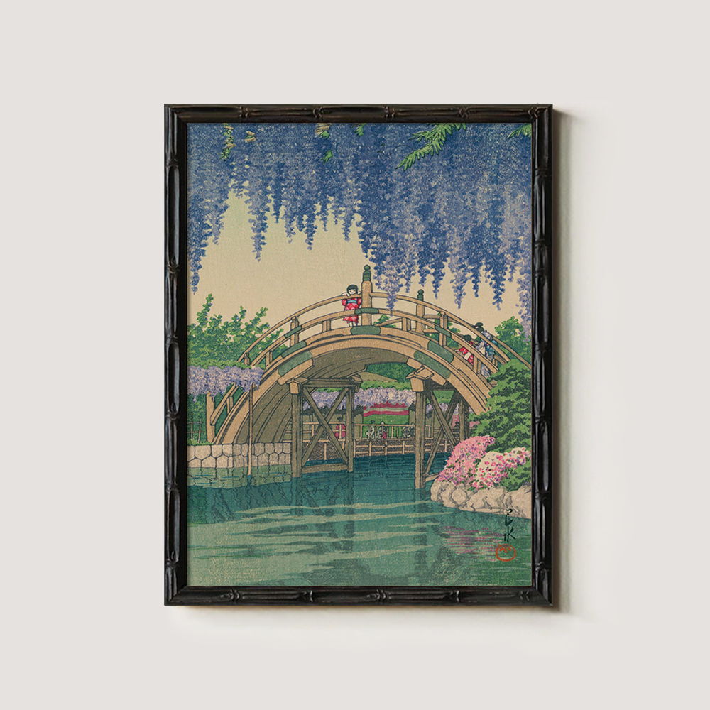 Wisteria Blossoms over Curved Drum Bridge