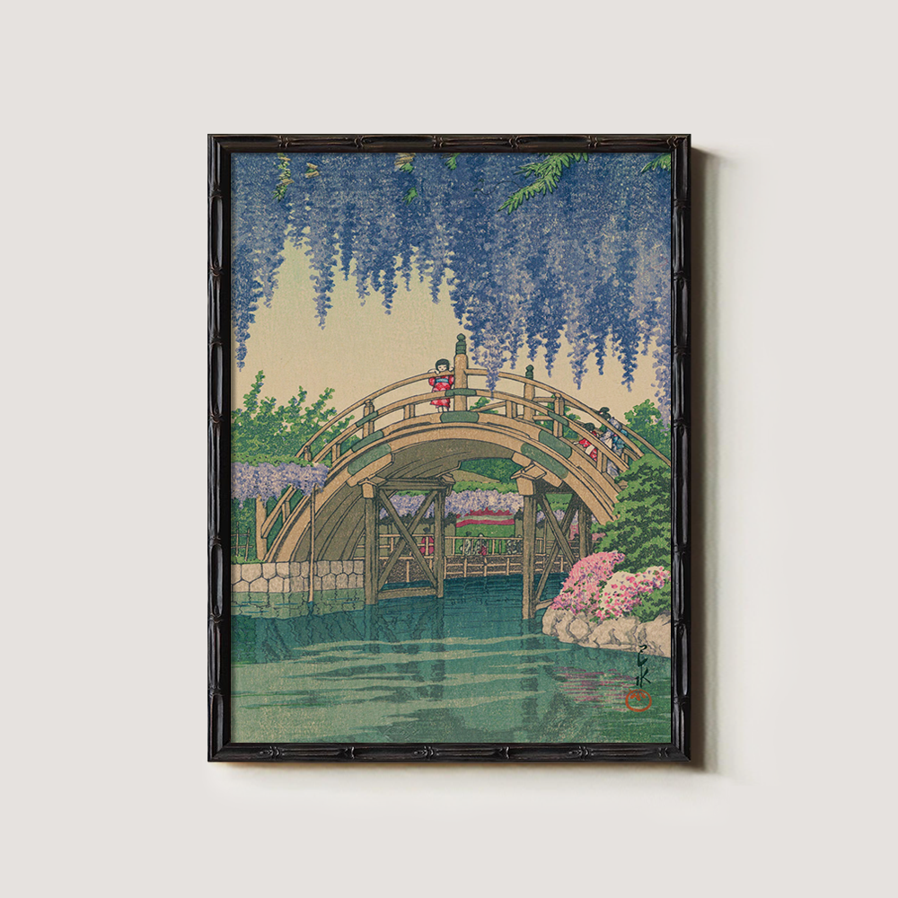 Wisteria Blossoms over Curved Drum Bridge