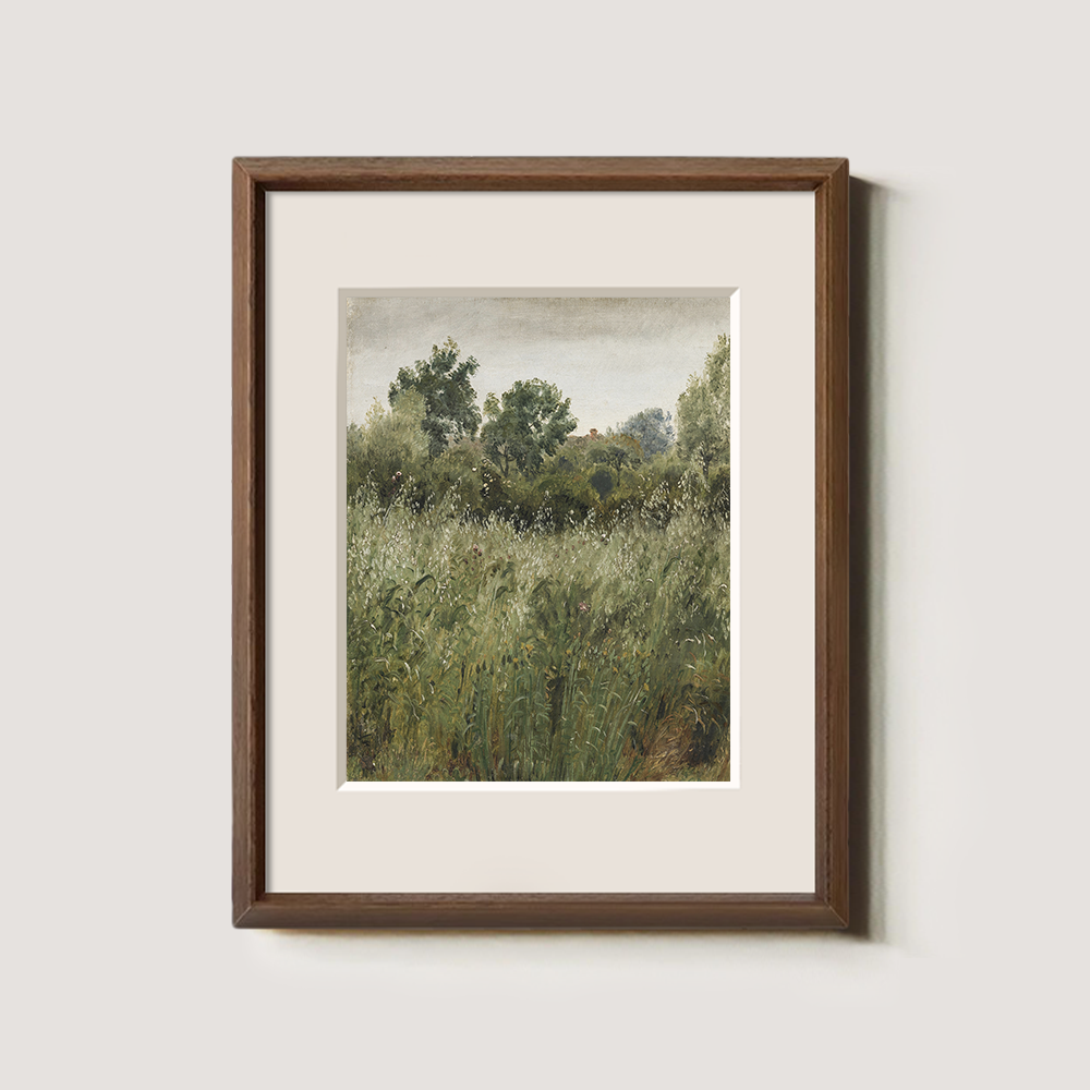 Lush Green Field With Summer Wildflowers