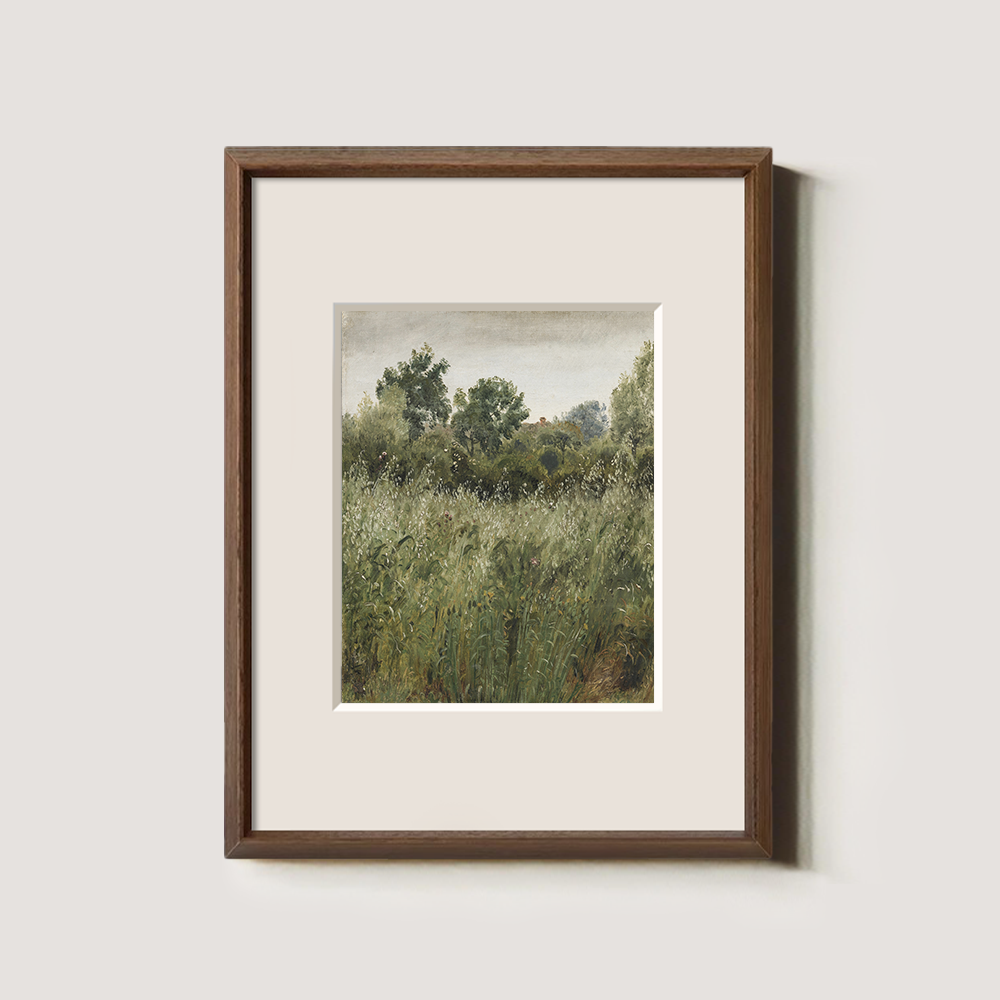 Lush Green Field With Summer Wildflowers