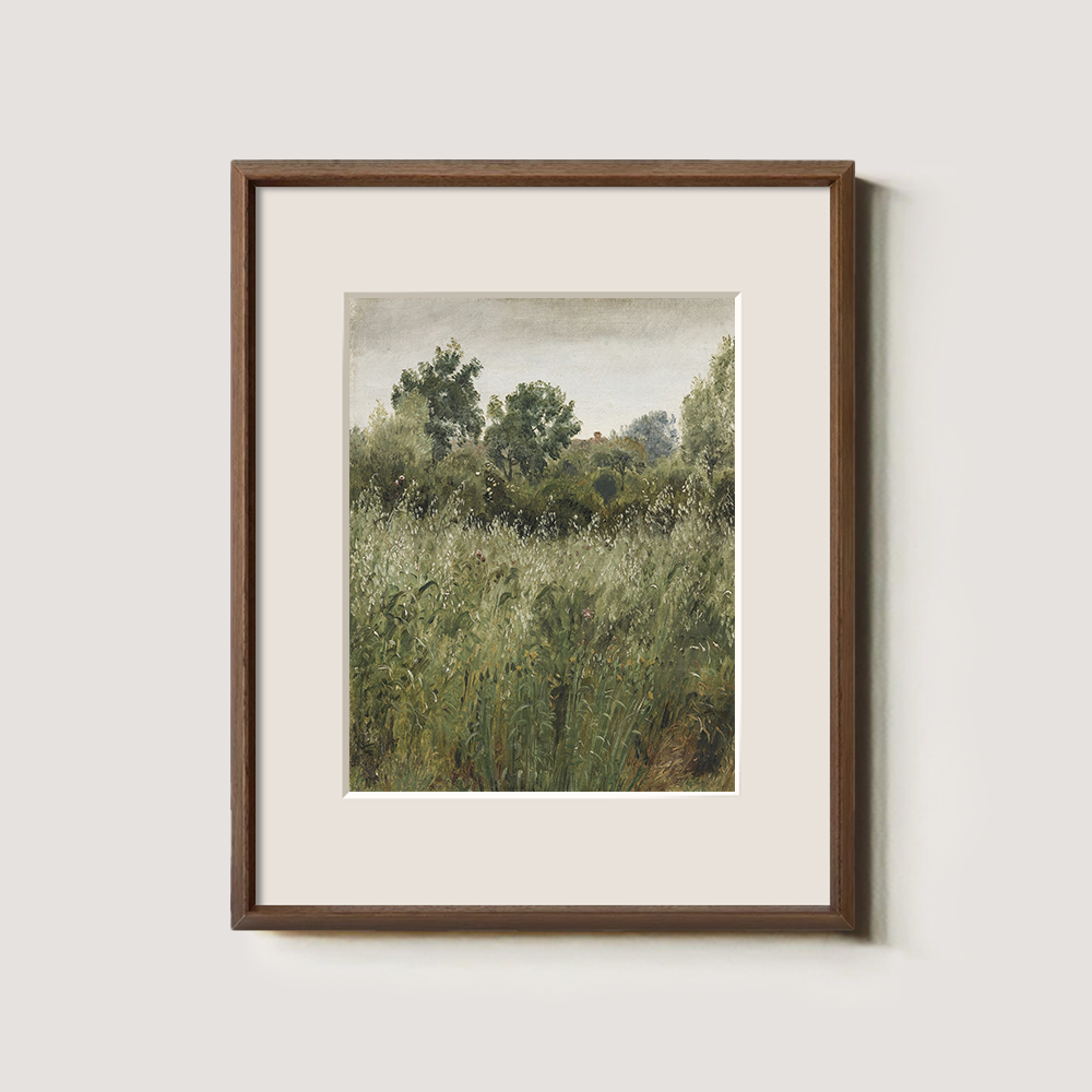 Lush Green Field With Summer Wildflowers