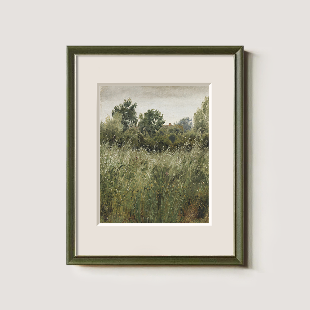 Lush Green Field With Summer Wildflowers
