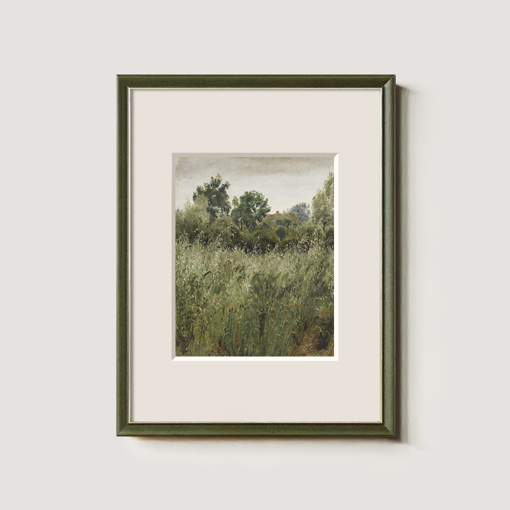 Lush Green Field With Summer Wildflowers