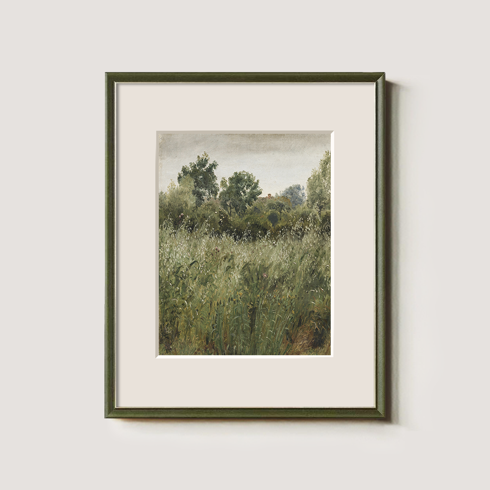 Lush Green Field With Summer Wildflowers