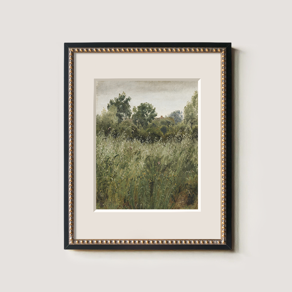Lush Green Field With Summer Wildflowers