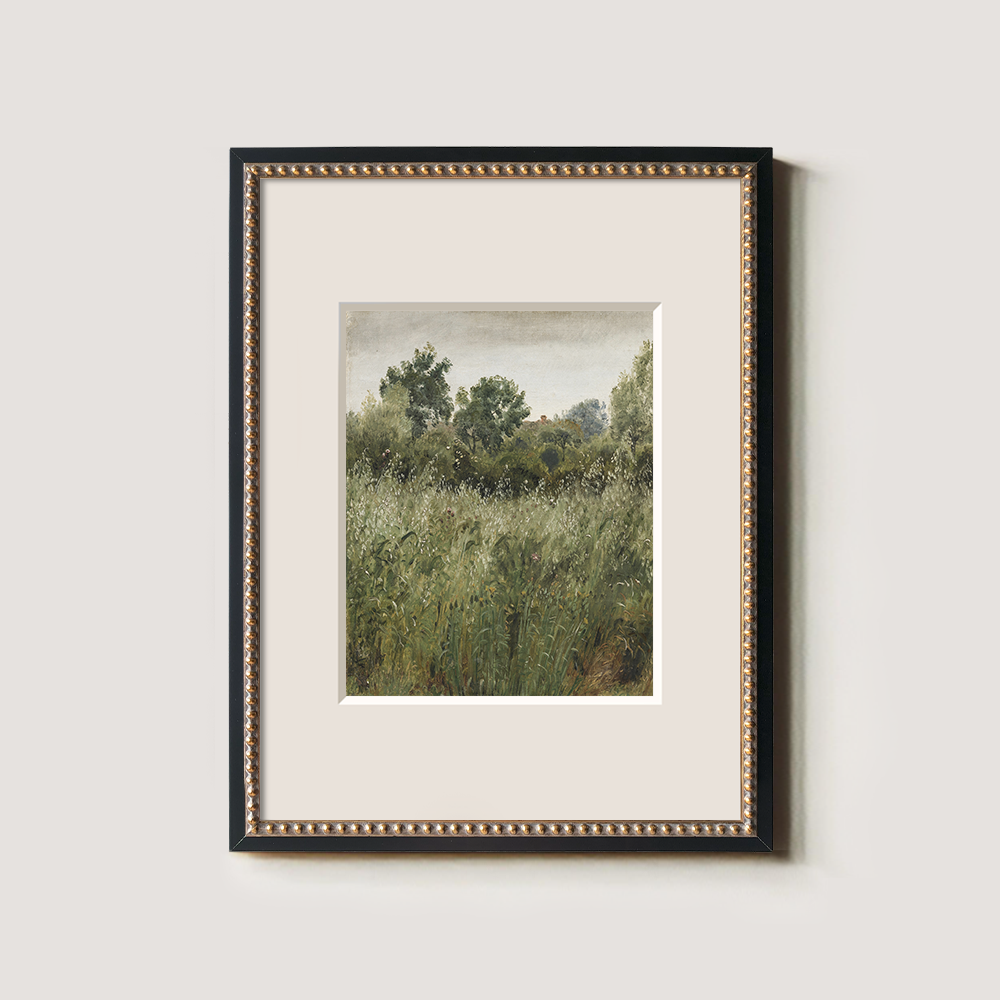 Lush Green Field With Summer Wildflowers