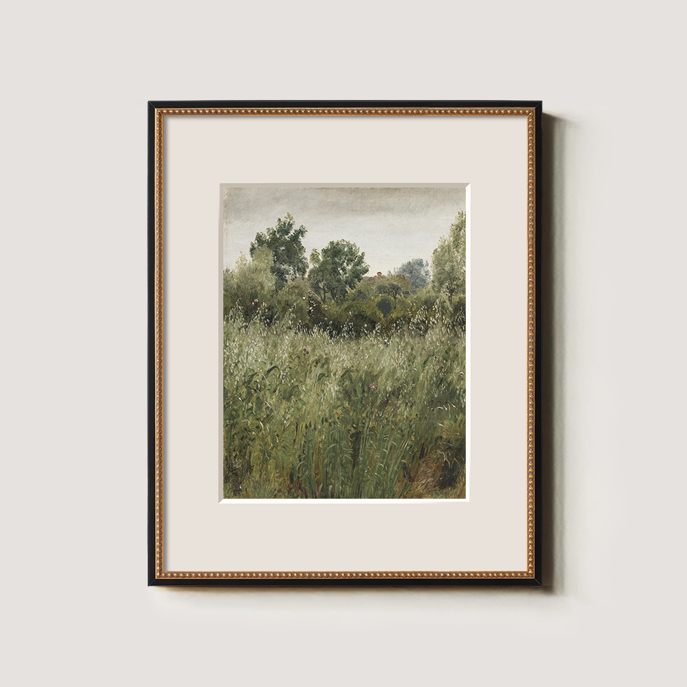 Lush Green Field With Summer Wildflowers