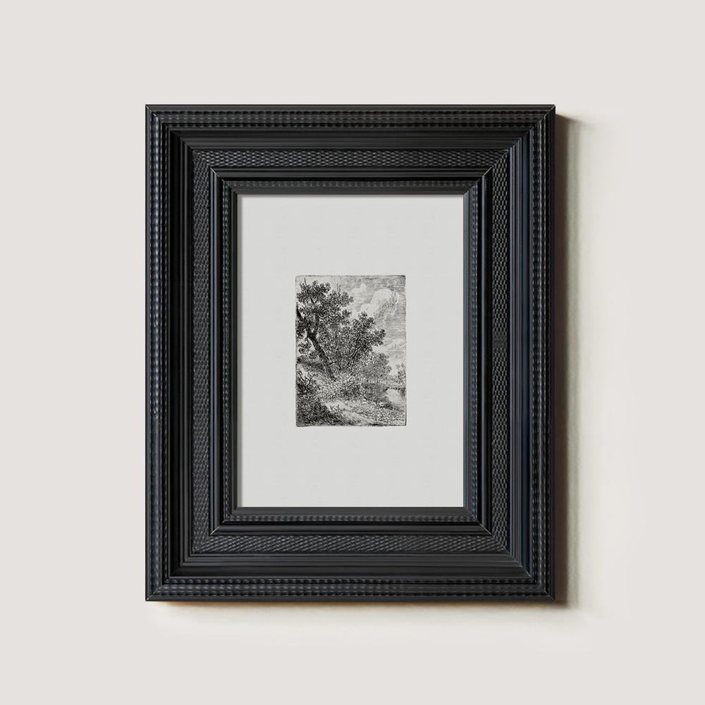 Shaded Arboreal Hollow Etching Reverie