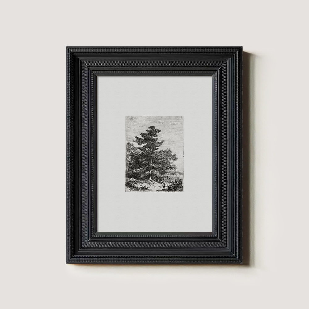 Solitary Pine Sentinel Etching Reverie